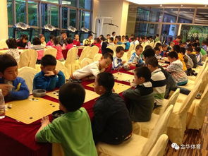 等的是你 金华市少儿围棋集训队组建在即