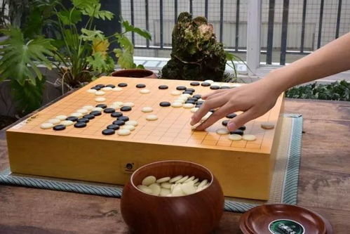 巍山 大理南诏围棋厂开业